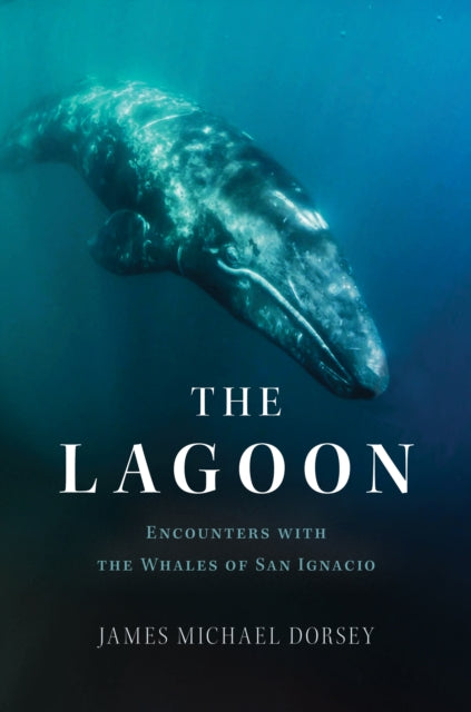 The Lagoon: In Search of the Gray Whales of San Ignacio