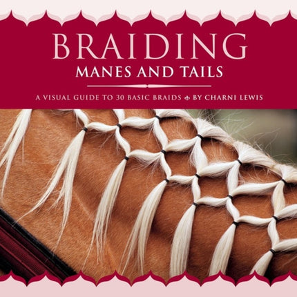 Braiding Manes and Tails: A Visual Guide to 30 Basic Braids