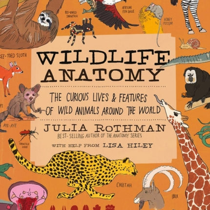 Wildlife Anatomy: The Curious Lives & Features of Wild Animals around the World