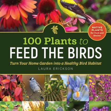 100 Plants to Feed the Birds: Turn Your Home Garden into a Healthy Bird Habitat