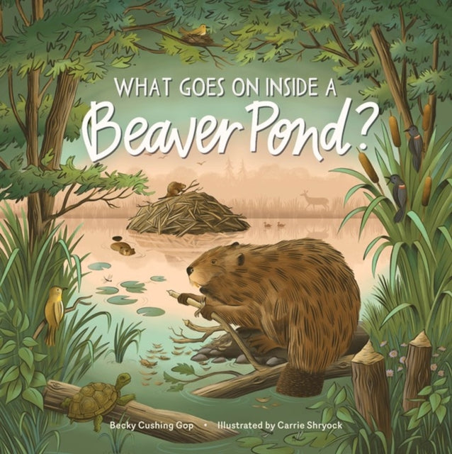 What Goes on inside a Beaver Pond?