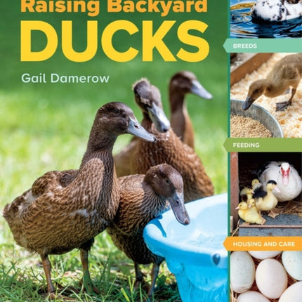 An Absolute Beginner's Guide to Raising Backyard Ducks: Breeds, Feeding, Housing and Care, Eggs and Meat