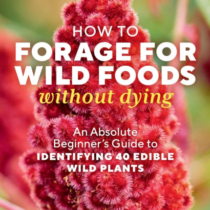 How to Forage for Wild Foods without Dying: An Absolute Beginner's Guide to Identifying 40 Edible Wild Plants