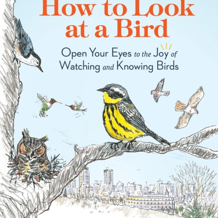 How to Look at a Bird: Open Your Eyes to the Joy of Watching and Knowing Birds