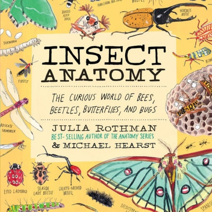 Insect Anatomy