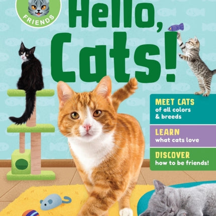 Animal Friends Hello Cats