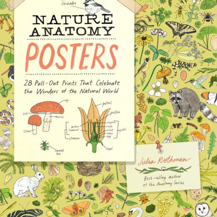 Nature Anatomy Posters