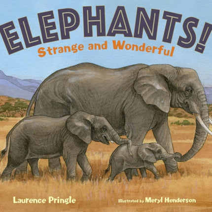 Elephants!