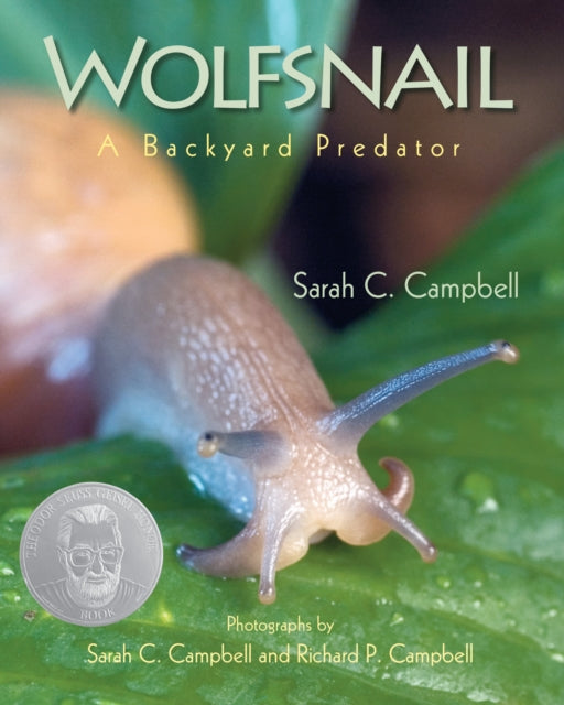 Wolfsnail: A Backyard Predator