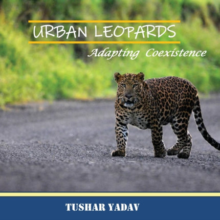 Urban Leopards, Adapting coexistence