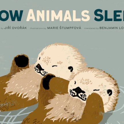 How Animals Sleep