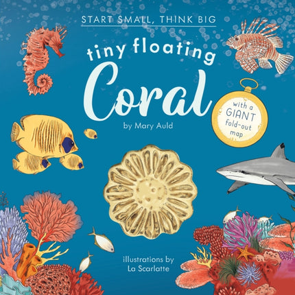 Tiny Floating Coral Start Small Think Big 3