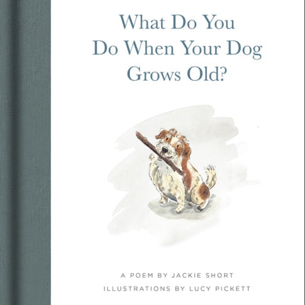 What Do You Do When Your Dog Grows Old