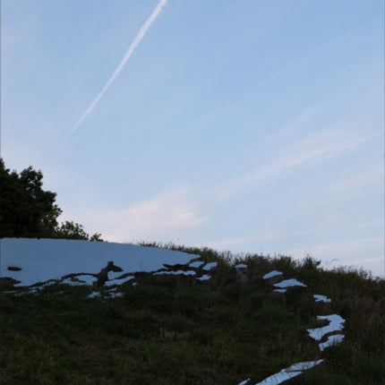 Sarah Sze: Fallen Sky