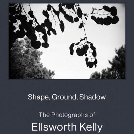 Shape Ground Shadow The Photographs of Ellsworth Kelly