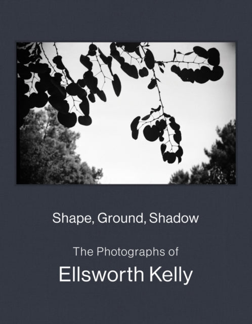 Shape Ground Shadow The Photographs of Ellsworth Kelly