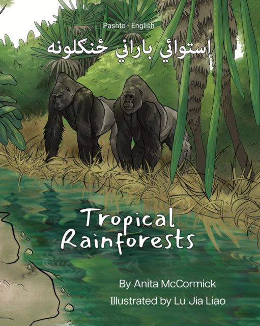 Tropical Rainforests (Pashto-English): استوائيئي بارانيني ځنګلونه