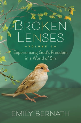Broken Lenses, Volume 3: Experiencing God’s
