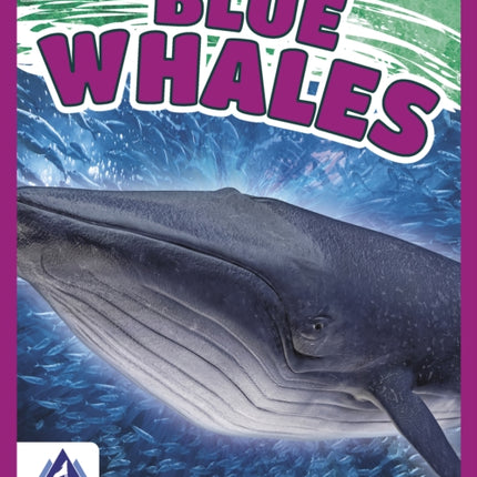 Giants of the Sea: Blue Whales