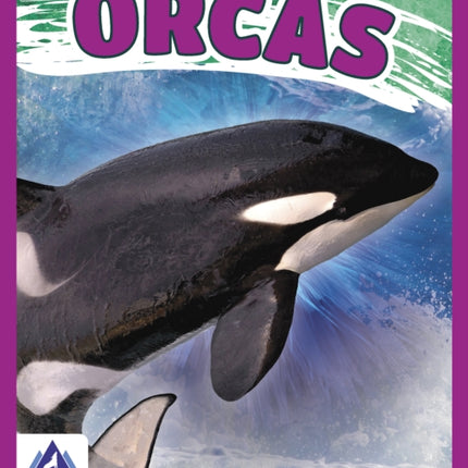 Giants of the Sea: Orcas