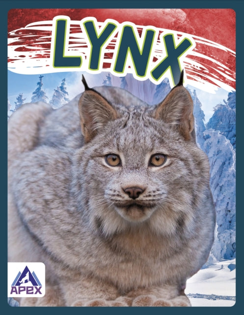 Wild Cats: Lynx