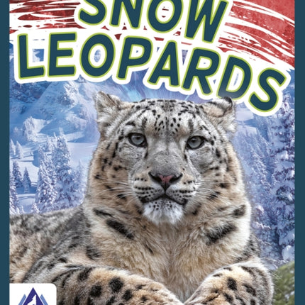 Wild Cats: Snow Leopards