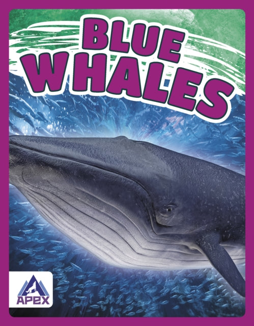 Giants of the Sea: Blue Whales