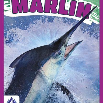 Giants of the Sea: Marlin