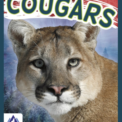 Wild Cats: Cougars