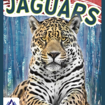 Wild Cats: Jaguars