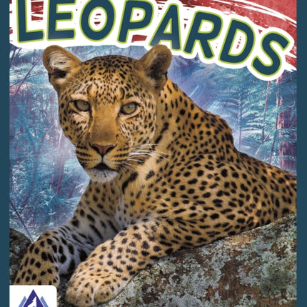 Wild Cats: Leopards