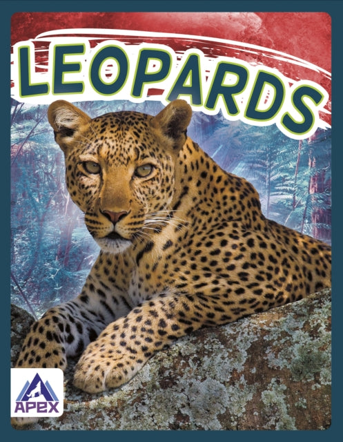 Wild Cats: Leopards