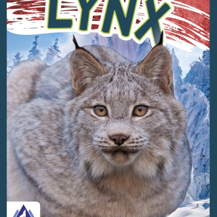 Wild Cats: Lynx