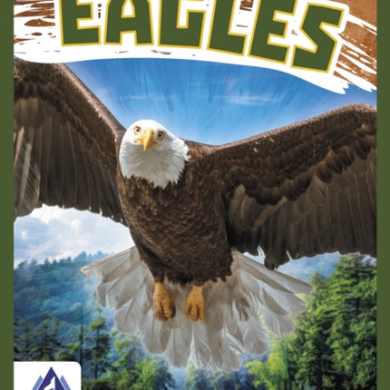 Birds of Prey: Eagles