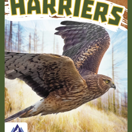 Birds of Prey: Harriers