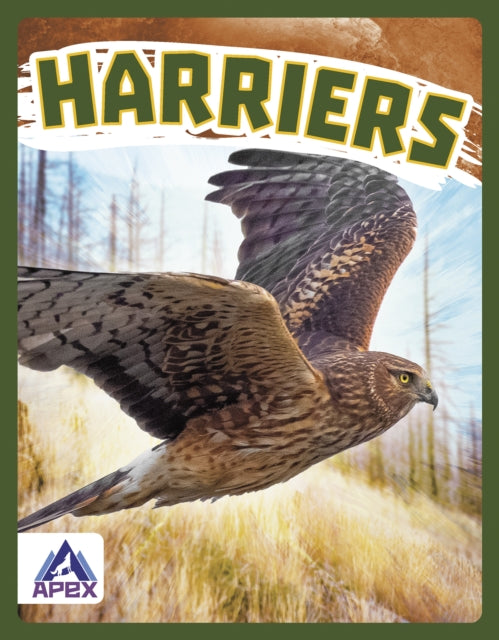 Birds of Prey: Harriers