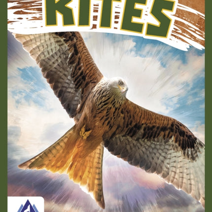 Birds of Prey: Kites