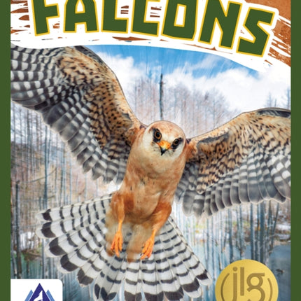 Birds of Prey: Falcons