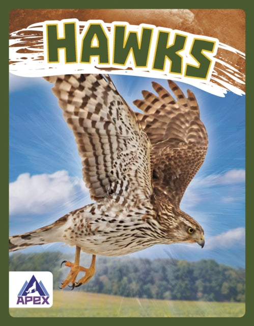 Birds of Prey: Hawk