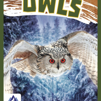 Birds of Prey: Owls