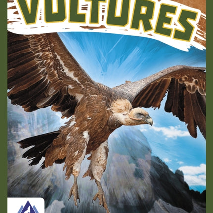 Birds of Prey: Vultures