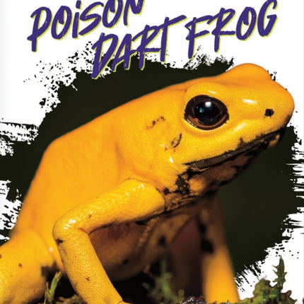 Deadliest Animals: Poison Dart Frog