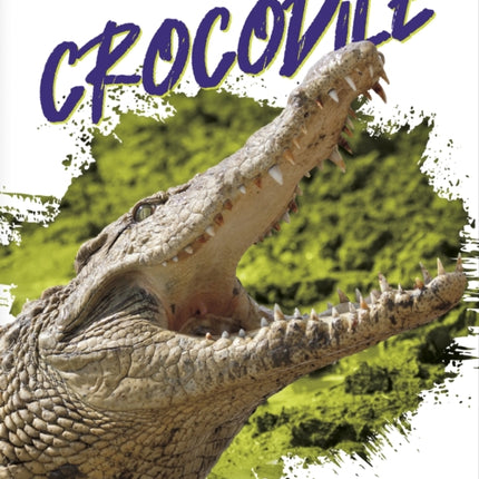 Deadliest Animals: Crocodile