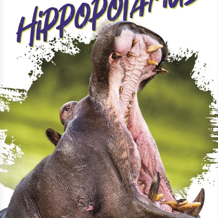 Deadliest Animals: Hippopotamus