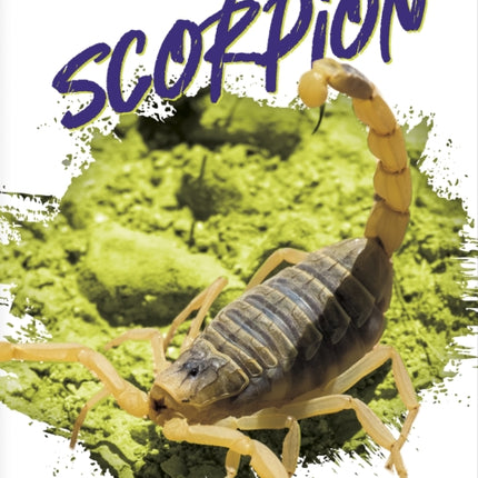 Deadliest Animals: Scorpion