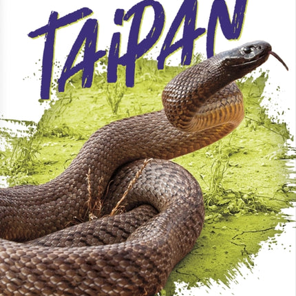 Deadliest Animals: Taipan