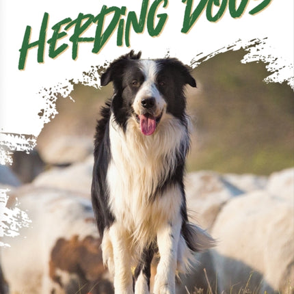 Dogs at Work: Herding Dogs