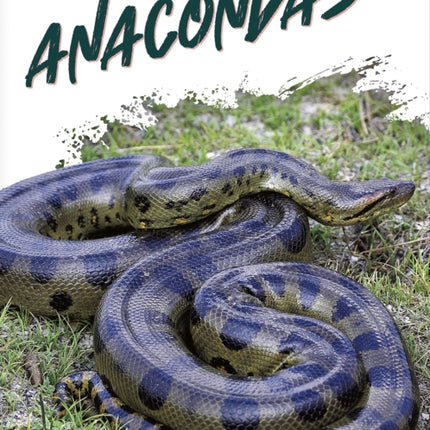 Wild Animals: Anacondas