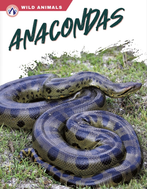 Wild Animals: Anacondas