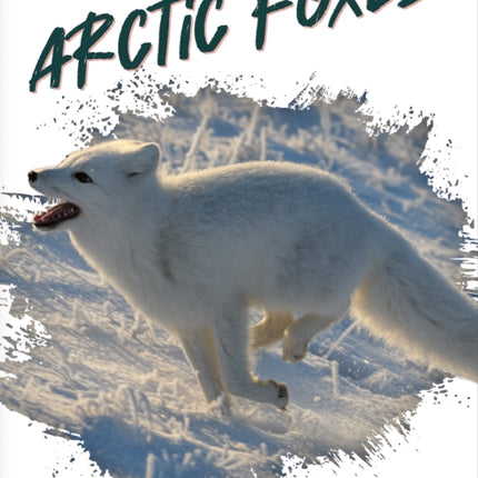 Wild Animals: Arctic Foxes